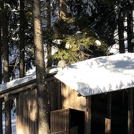 Th - Park Des Dolomites 호텔 보르카디카도레