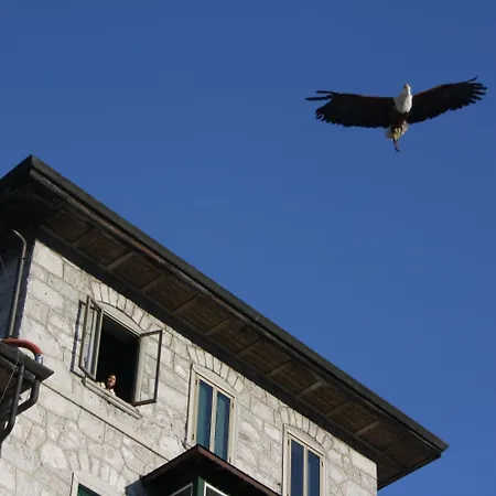Th - Park Des Dolomites ボルカ・ディ・カドーレ